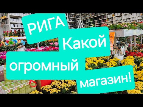 Видео: Самый большой магазин Латвии.Есть все!!!