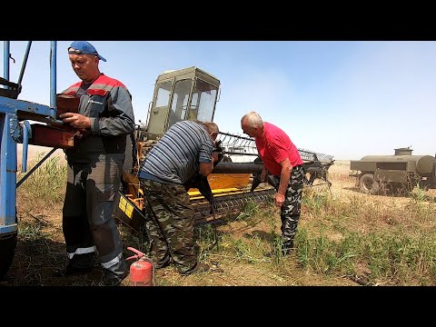 Видео: Немка с утра начала капризничать! Но без нее как без рук! Спешим на выручку!