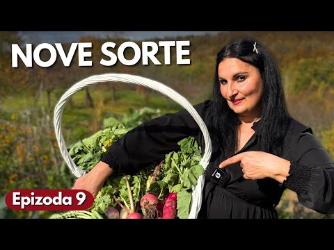 Видео: Познакомьтесь с НОВЫМИ сортами РЕДЬКИ - Зимний Сад Эп. 9