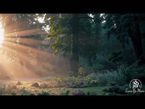 Видео: Афанасий Фет — «На заре ты её не буди» (1842)