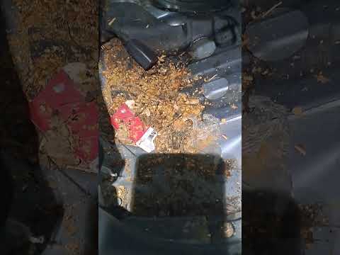 Видео: Мои любимые клиенты🤣