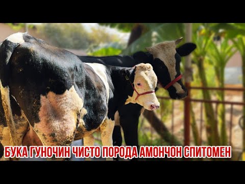Видео: 14 сентября 2025 г.