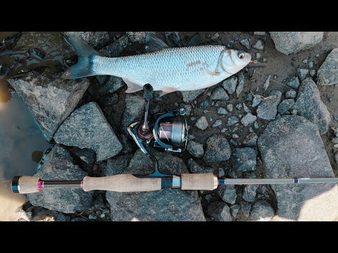 Видео: Чебак на Ультралайт. Река Илистая.