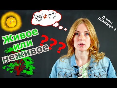 Видео: Биология | Основные отличия живого от неживого