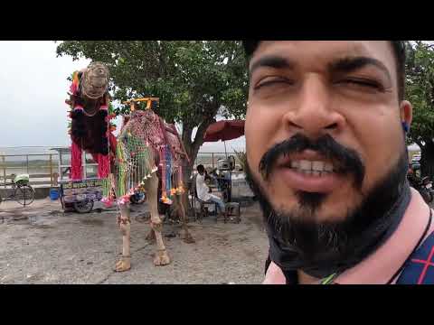 Видео: Едем на работу к Випану в Химачал-Прадеш, через ГИМАЛАЙСКИЙ ЛЕС, Удивительная природа Индии