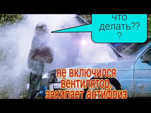 Видео: Машина кипит! Вентилятор не включается на Ниссан Примера p10.Что делать???,