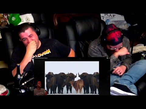 Видео: Лучшие моменты ауры на природе — @mndiaye_97 | RENEGADES REACT