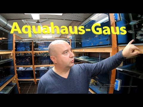 Видео: Aquahaus-Gaus Ч2. 170000л в 1000000л