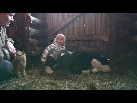 Видео: Новая жизнь в нашем Хозяйстве
