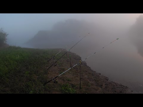 Видео: Рыбалка с ночёвкой на закидушки. Ловля судака с берега на живца в середине сентября