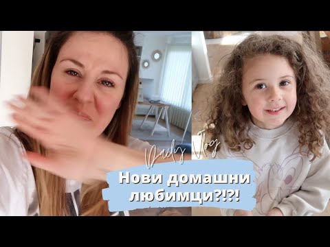 Видео: ВЛОГ 634 - НОВИ ДОМАШНИ ЛЮБИМЦИ