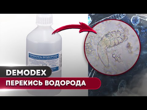 Видео: 🐛 Купание демодекс клеща в перекиси водорода 3% – эксперимент под микроскопом! 🔬🫧