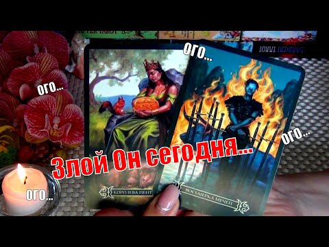 Видео: ‼️ЧТО ЧУВСТВУЕТ К ТЕБЕ МУЖЧИНА О КОТОРОМ ТЫ ДУМАЕШЬ⁉️🍀♥️ Гадание Таро