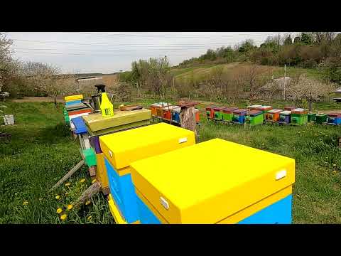 Видео: Як правильно ставити вощину  Бджільництво для початківців