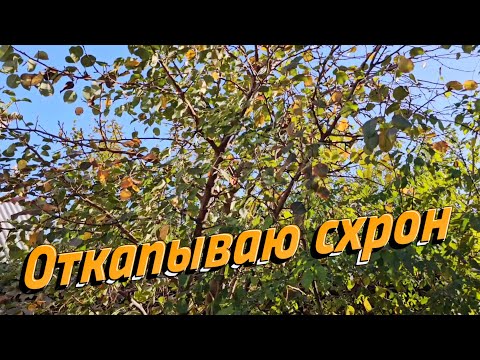 Видео: Откопал схрон, смотрим сохран и содержание.