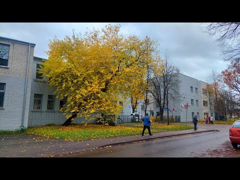 Видео: влог - ноябрь, вернуться в прошлое ...