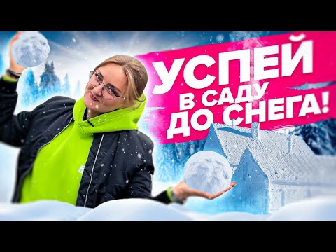 Видео: УСПЕЙ СДЕЛАТЬ В САДУ И ОГОРОДЕ ДО СНЕГА! Что делать в саду в конце октября? Укрытие растений