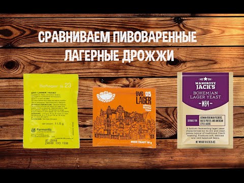 Видео: Сравниваем лагерные дрожжи (Fermentis, Mangrove Jack's, Beervingem). Сравниваем пивные дрожжи.