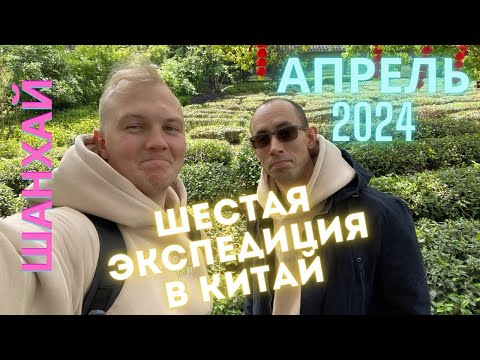 Видео: Путешествие в Китай, Шанхай, чайный рынок Тянь Шань, шестая экспедиция Белой Обезьяны