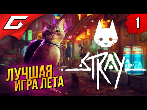 Видео: САМАЯ МИЛАЯ ИГРА ПРО КОТИКА ➤ STRAY ◉ Прохождение #1