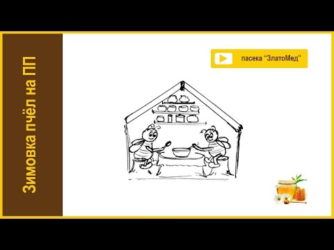 Видео: Блок №9. Зимовка пчел на промышленной пасеке