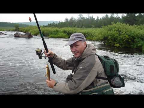 Видео: Экспедиция в Бурятии,  рыбалка по горным рекам. Expedition to Buryatia, fishing on mountain rivers.