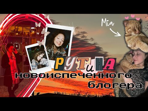 Видео: домашняя рутина новоиспеченного блогера ☕️
