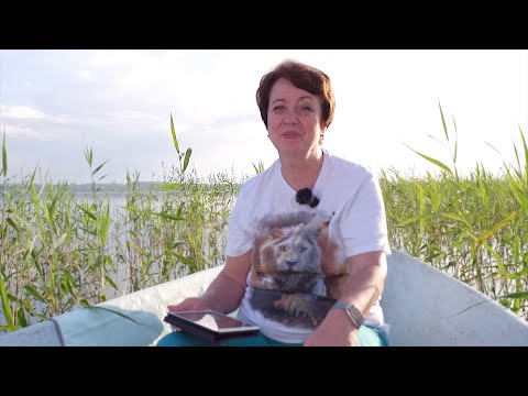 Видео: 3637. Хлеб на каждый день. 11 сентября. Псалом 88:33