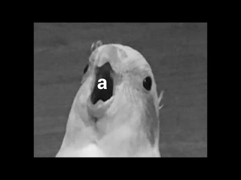 Видео: Cassiopeia | Информатика | ЕГЭ | 27 задание | Часть 4