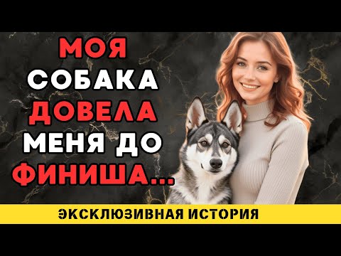 Видео: Собака лучше мужа...