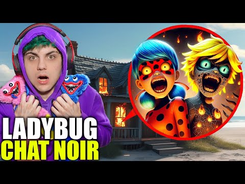 Видео: МОЙ БЕСПИЛОТНИК ЗАСНЯЛ ГОРЯЩИЙ ДОМ ЛЕДИ БАГ И СУПЕР-КОТ!