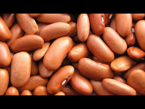 Видео: Паштет из фасоли и грецких орехов по нашему рецепту