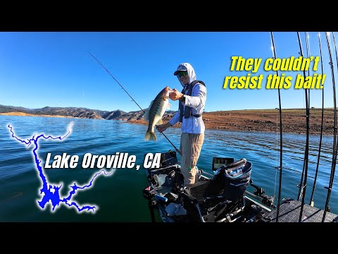 Видео: ЛУЧШИЙ осенний вариант для бега на озере Оровилл! (2025)