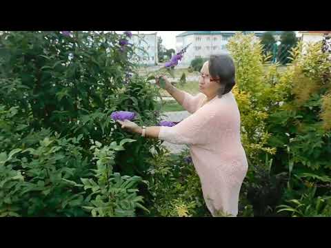 Видео: Сад который удивляет и завораживает! В гостях у Наташи