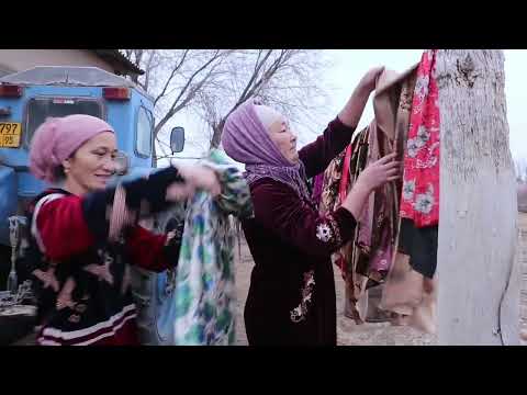 Видео: Мулик ауылы .03.12.2024.