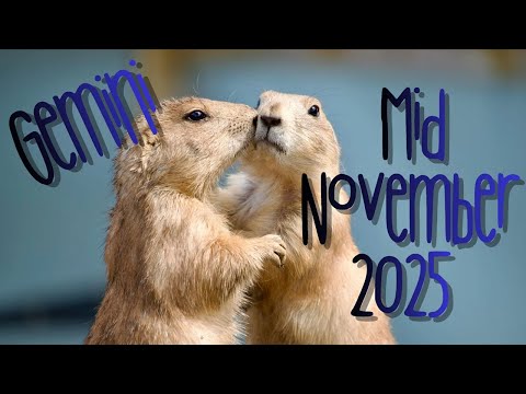 Видео: Близнецы🍂 ОПАСАЯСЬ🫢 КОНФЛИКТА ИНТЕРЕСОВ, ВЫ МОЖЕТЕ РЕШИТЬ ДВИГАТЬСЯ🚶‍➡️