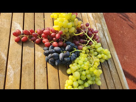 Видео: Переезд в Севастополь. (часть 1 - сборы, погрузка машины)