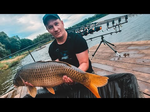 Видео: АКТИВНЫЙ КЛЁВ ТРОФЕЙНОГО КАРПА СТАДИОН 14100 НОВЫЙ БИГ ФИШ