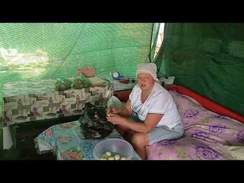 Видео: 9 сентября 2025 г.