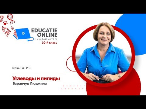 Видео: Биология, 10-й класс, Углеводы и липиды