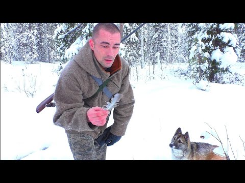 Видео: ОХОТА НА ГЛУХАРЯ С МЕЛКАШКОЙ / ТАКОЕ УВИДИШЬ НЕ КАЖДЫЙ ДЕНЬ! ПТИЦА ИСЧЕЗЛА КАК ПРИЗРАК. ТАЙГА КОМИ.