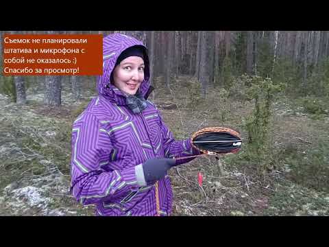 Видео: Радиосвязь из леса на рубеже зимы, короткие волны в полевых условиях на Discovery TX-500