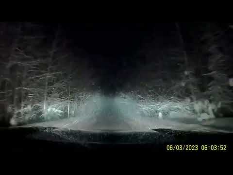 Видео: Междуреченский - Карабашка - Тавда - Тюмень 6.03.23 1:03 в пути