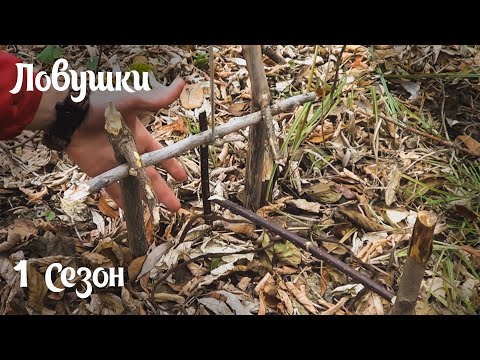 Видео: (S) Ловушки / Trap - Подъемная ловушка с приманкой #13