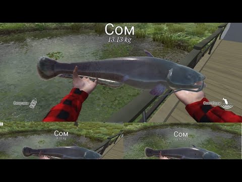 Видео: Где можно ловить больших и дорогих сомов _- Ultimate Fishing Simulator-_
