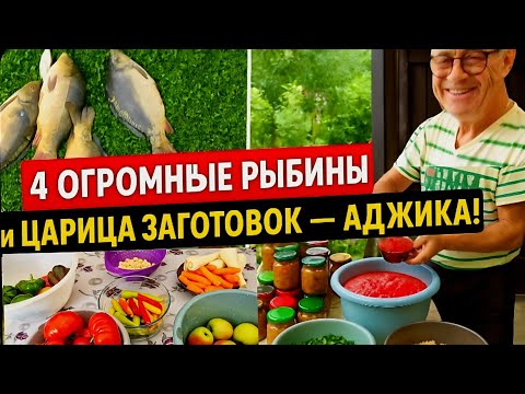 Видео: «Рыба, уха и аджика: вкусный влог с дачи»