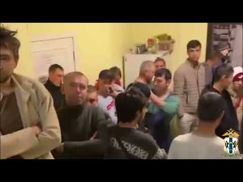 Видео: Полицией Новосибирска пресечена деятельность группы лиц, оказывающих нелегальные услуги мигрантам