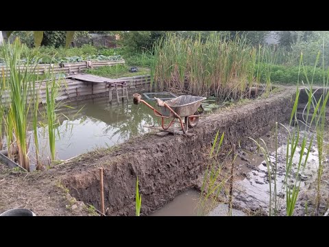 Видео: Копаю копанку лопатою💪💪💪Що встиг за 3 дні😱😱😱🐟
