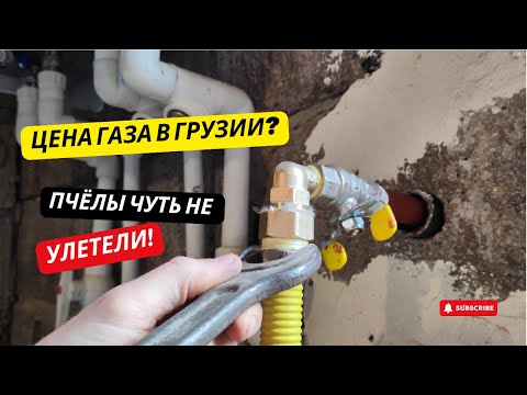 Видео: #28 Сколько стоит провести ГАЗ в Грузии? Пчёлы нас чуть не ПОКИНУЛИ