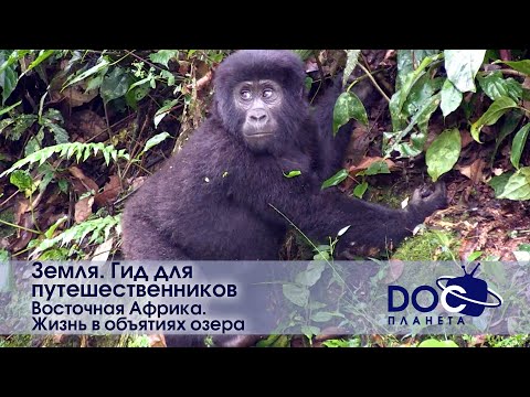 Видео: Земля.Гид для путешественников.Восточная Африка - Фильм 2.Жизнь в объятиях озера - Документальный